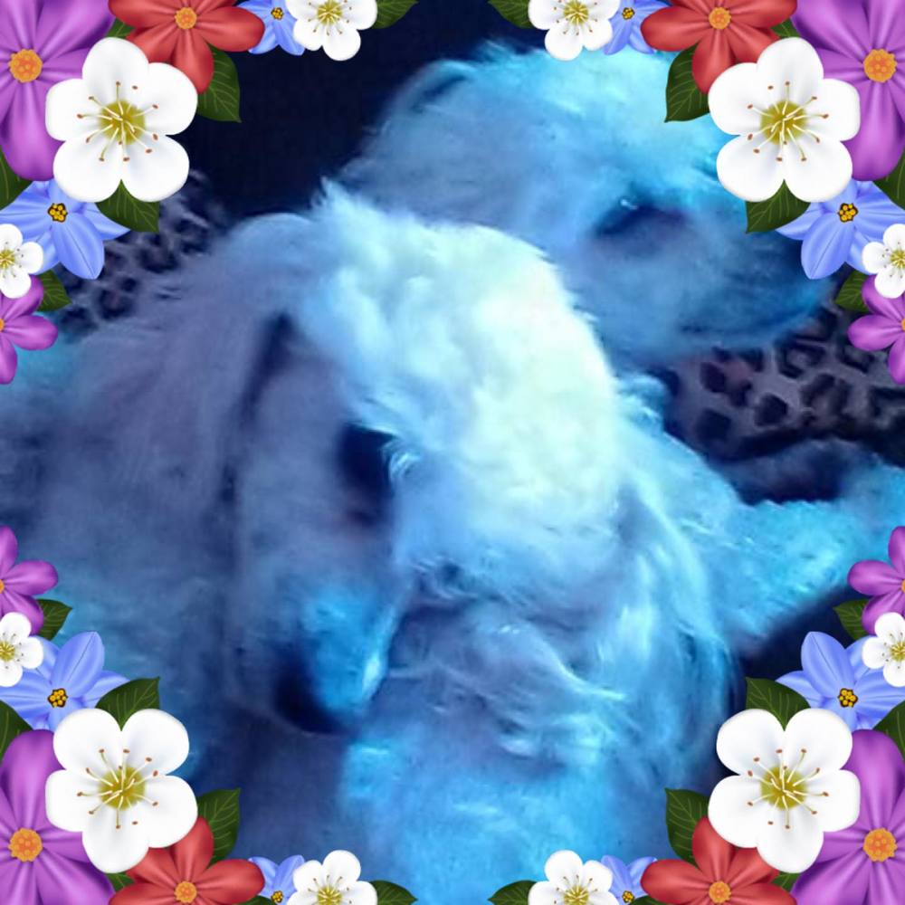 Meet your Posher, Margarita